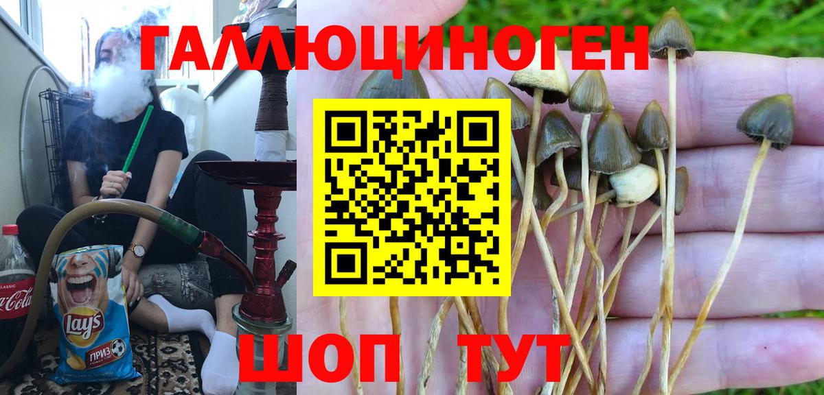 Фрязино  Псилоцибиновые грибы мицелий  Псилоцибиновые грибы MAGIC MUSHROOMS  Вход с VPN 